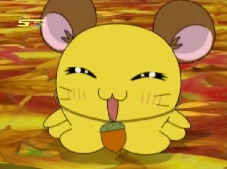 Tottoko Hamtaro Hai! Episode 29 Dub Indonesia