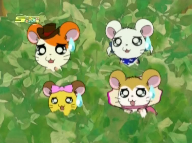 Tottoko Hamtaro Hai! Episode 32 Dub Indonesia