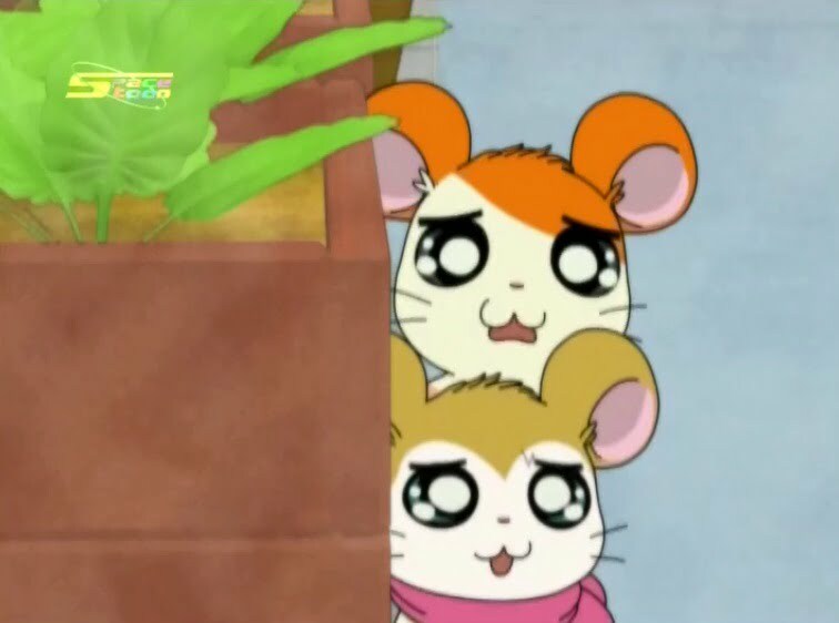 Tottoko Hamtaro Hai! Episode 31 Dub Indonesia