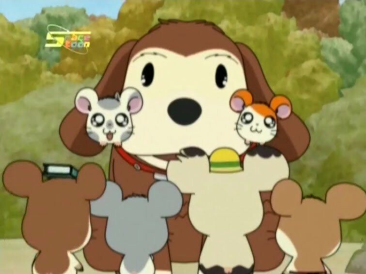 Tottoko Hamtaro Hai! Episode 51 Dub Indonesia