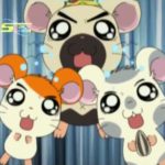 Tottoko Hamtaro Hai! Episode 57 Dub Indonesia