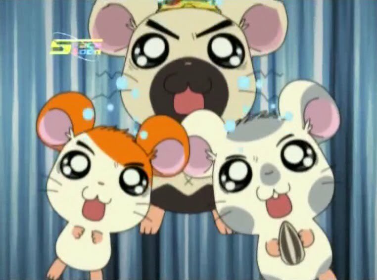 Tottoko Hamtaro Hai! Episode 57 Dub Indonesia