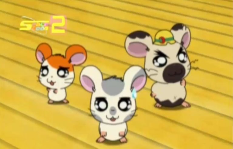 Tottoko Hamtaro Hai! Episode 56 Dub Indonesia