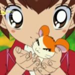 Tottoko Hamtaro Hai! Episode 61 Dub Indonesia