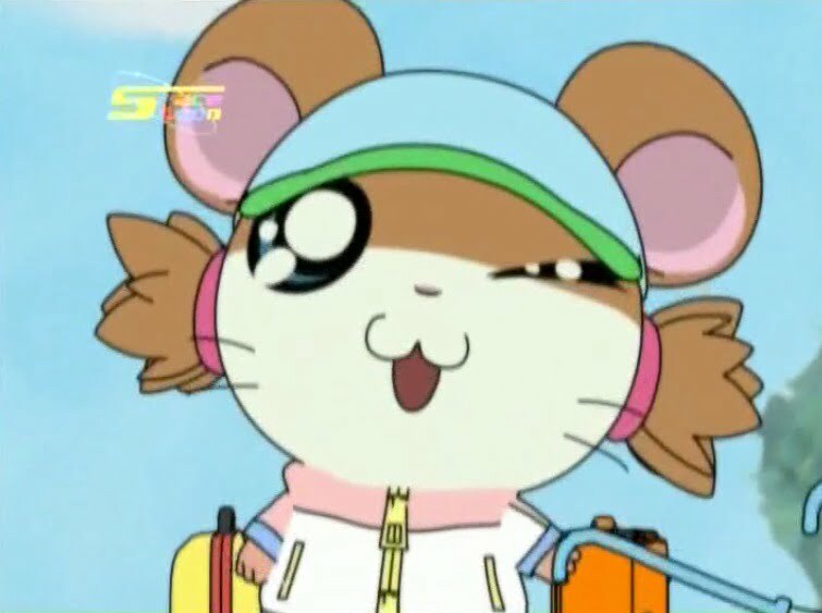 Tottoko Hamtaro Hai! Episode 59 Dub Indonesia