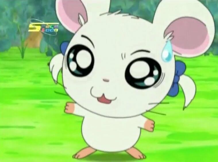 Tottoko Hamtaro Hai! Episode 62 Dub Indonesia