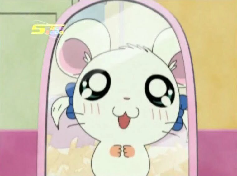 Tottoko Hamtaro Hai! Episode 64 Dub Indonesia