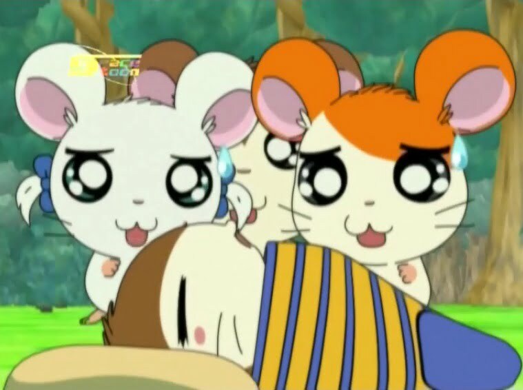 Tottoko Hamtaro Hai! Episode 63 Dub Indonesia