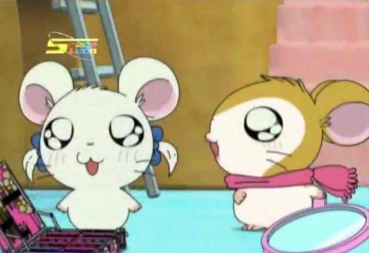 Tottoko Hamtaro Hai! Episode 67 Dub Indonesia