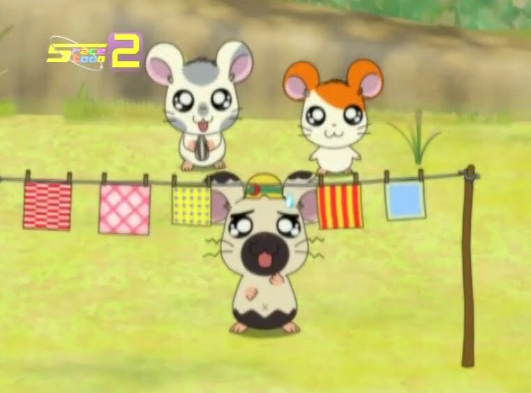 Tottoko Hamtaro Hai! Episode 74 Dub Indonesia