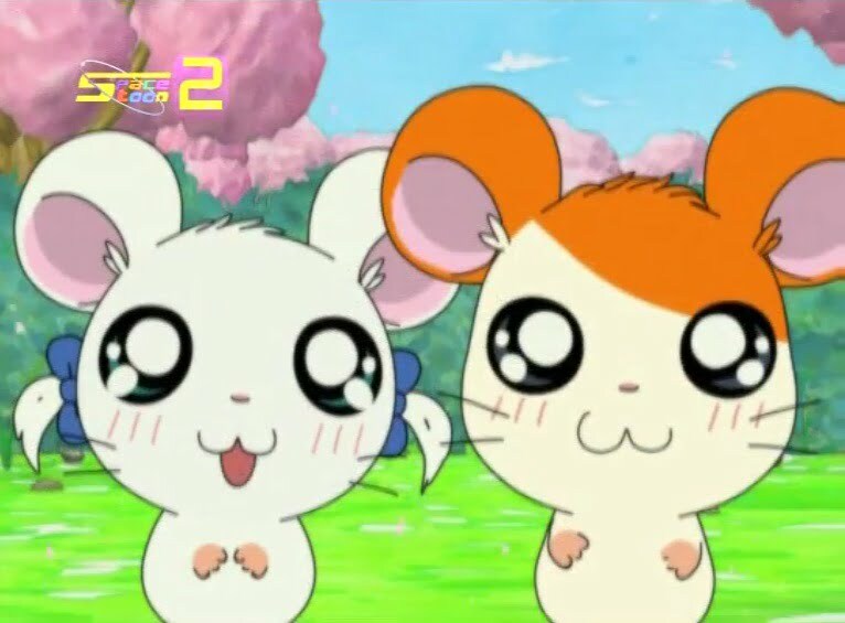 Tottoko Hamtaro Hai! Episode 77 [END] Dub Indonesia