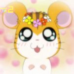 Tottoko Hamtaro Hai! Episode 75 Dub Indonesia