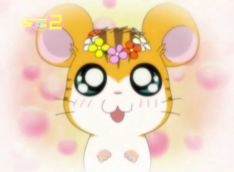 Tottoko Hamtaro Hai! Episode 75 Dub Indonesia