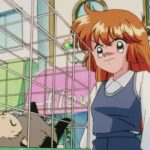 Kaitou Saint Tail Episode 3 Subtitle Indonesia